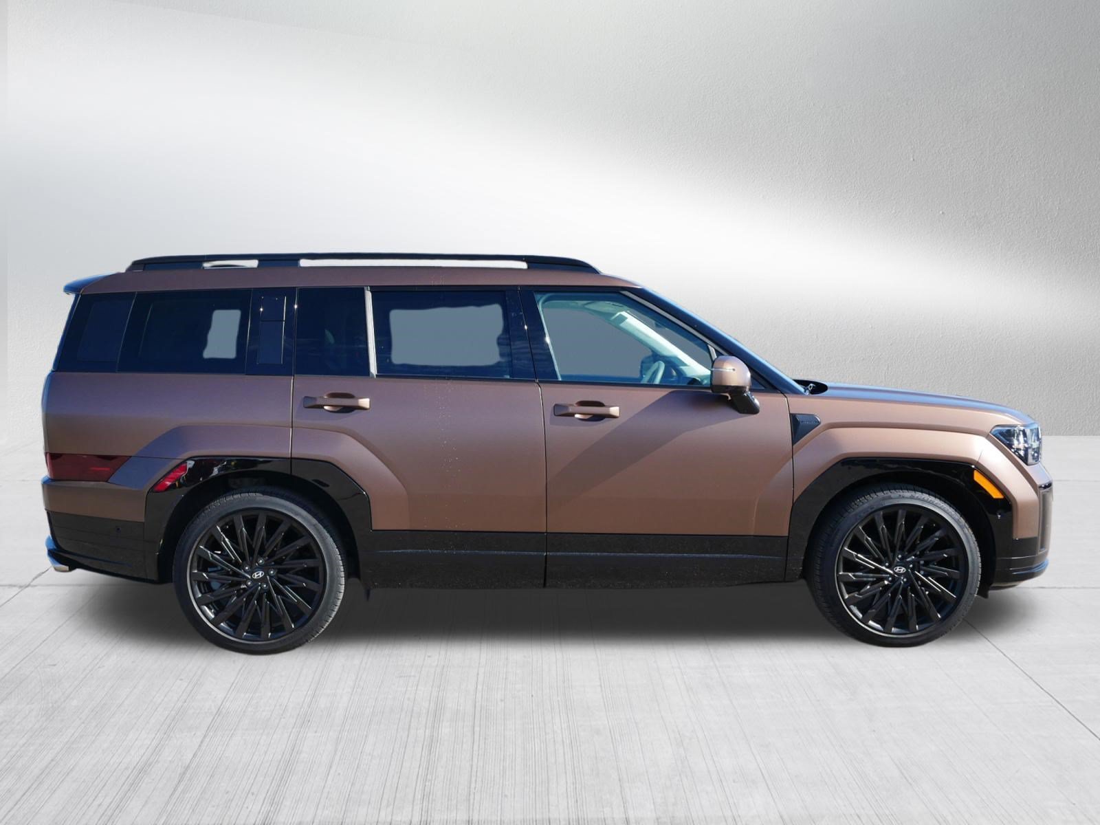 2025 Hyundai Santa Fe Calligraphy - Photo 8