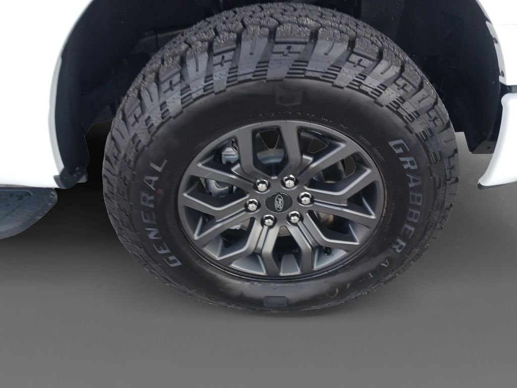 2025 Ford F-150 Tremor - Photo 16