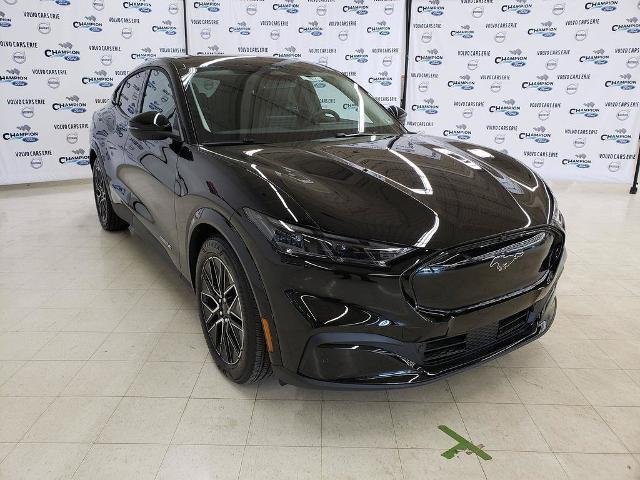 New 2026 Shadow Black Ford Premium image 1