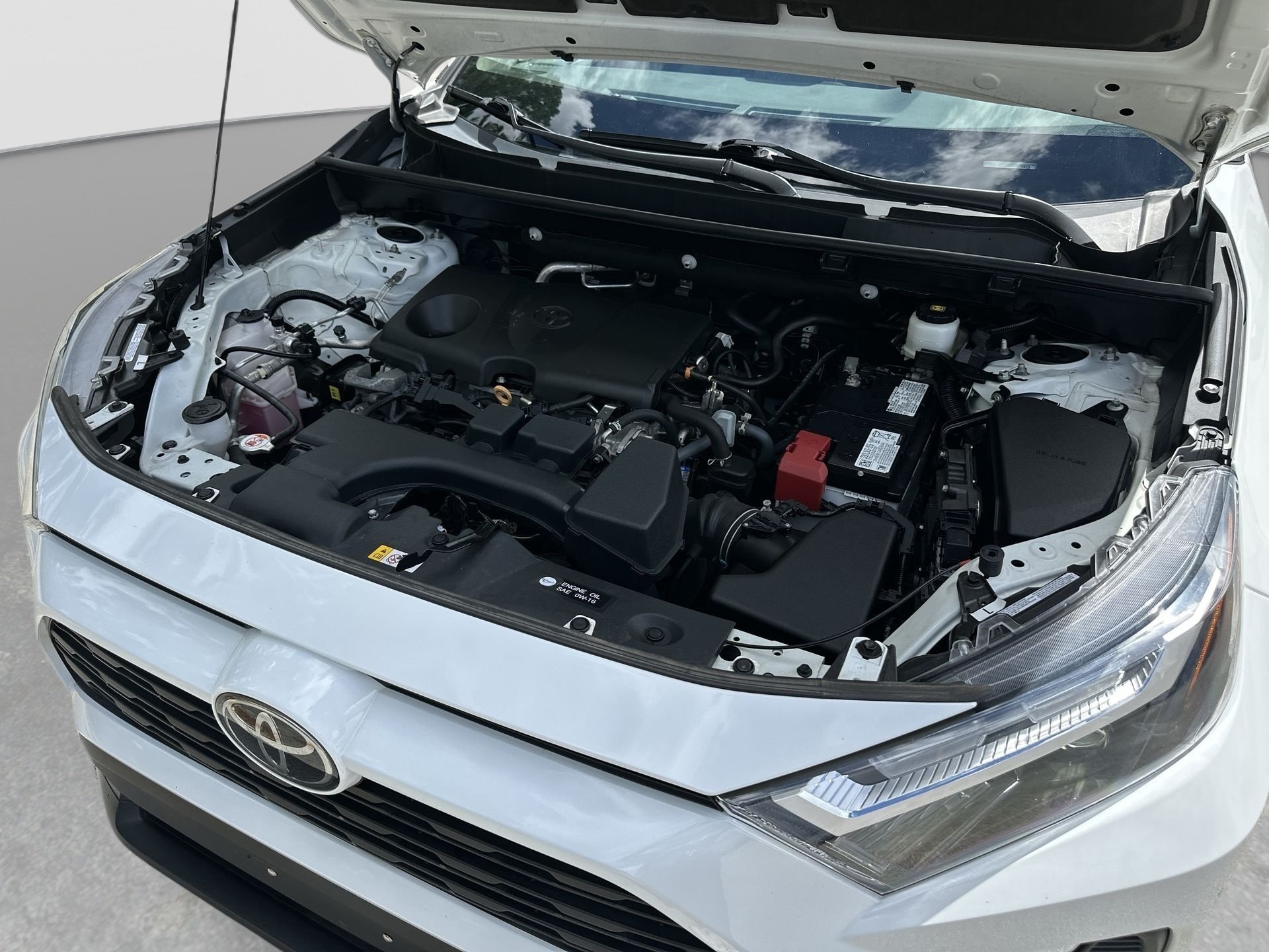 2024 Toyota RAV4 XLE - Photo 29