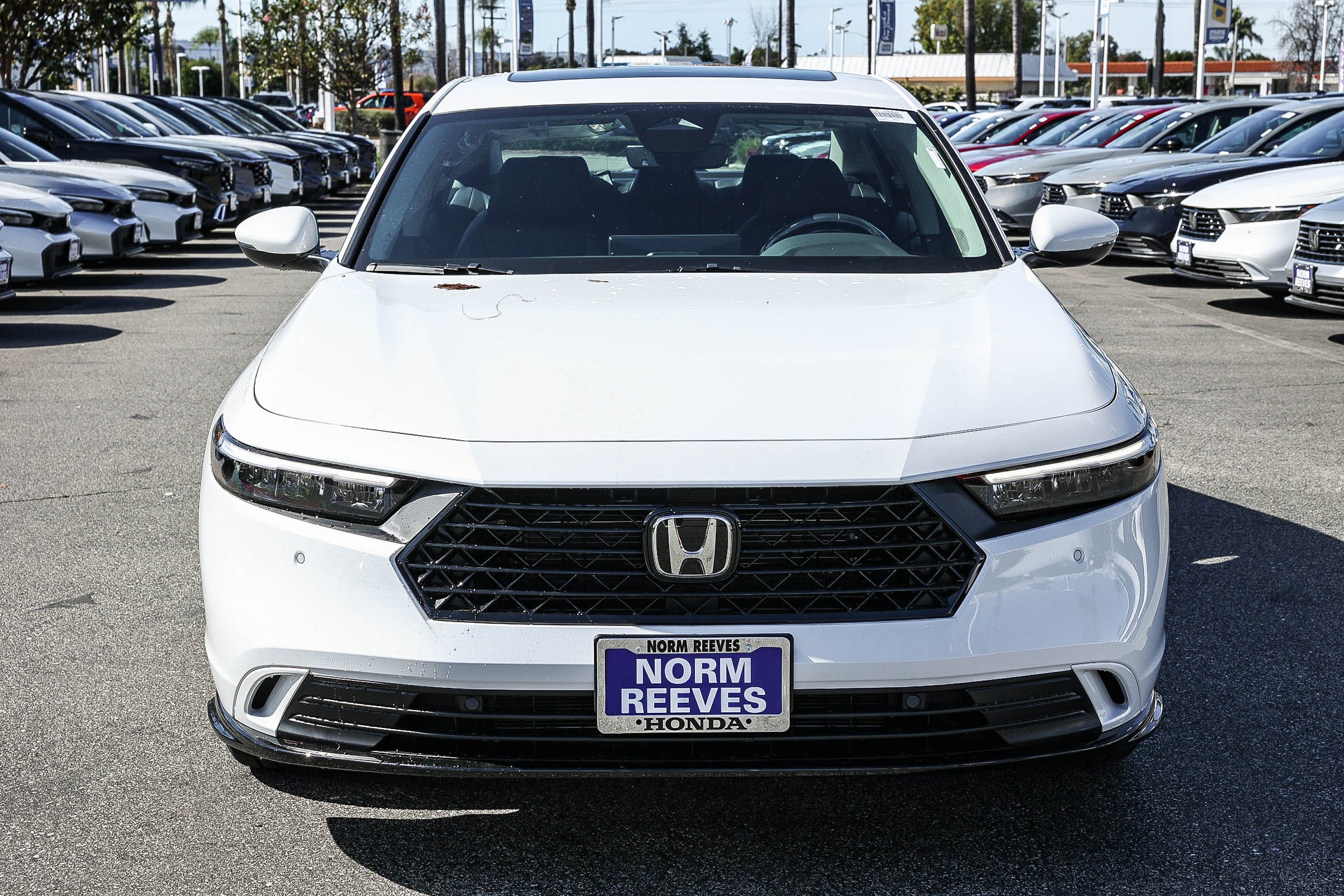 New 2026 Platinum White Pearl Honda EX-L Sedan image 2
