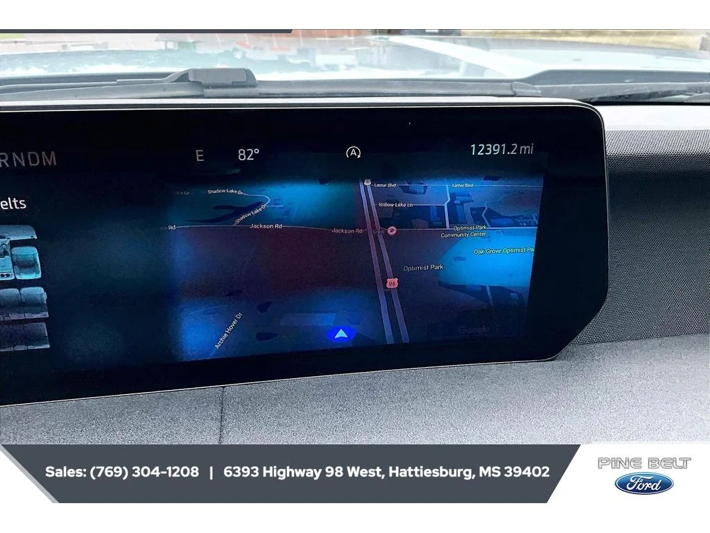 Used 2025 GRAY Ford Platinum image 14