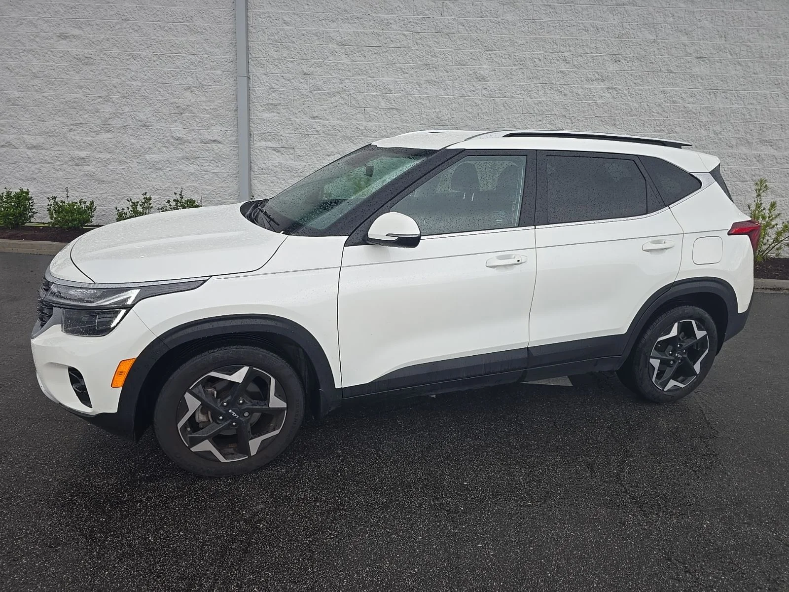 2024 Kia Seltos 2.0 EX FWD's photo