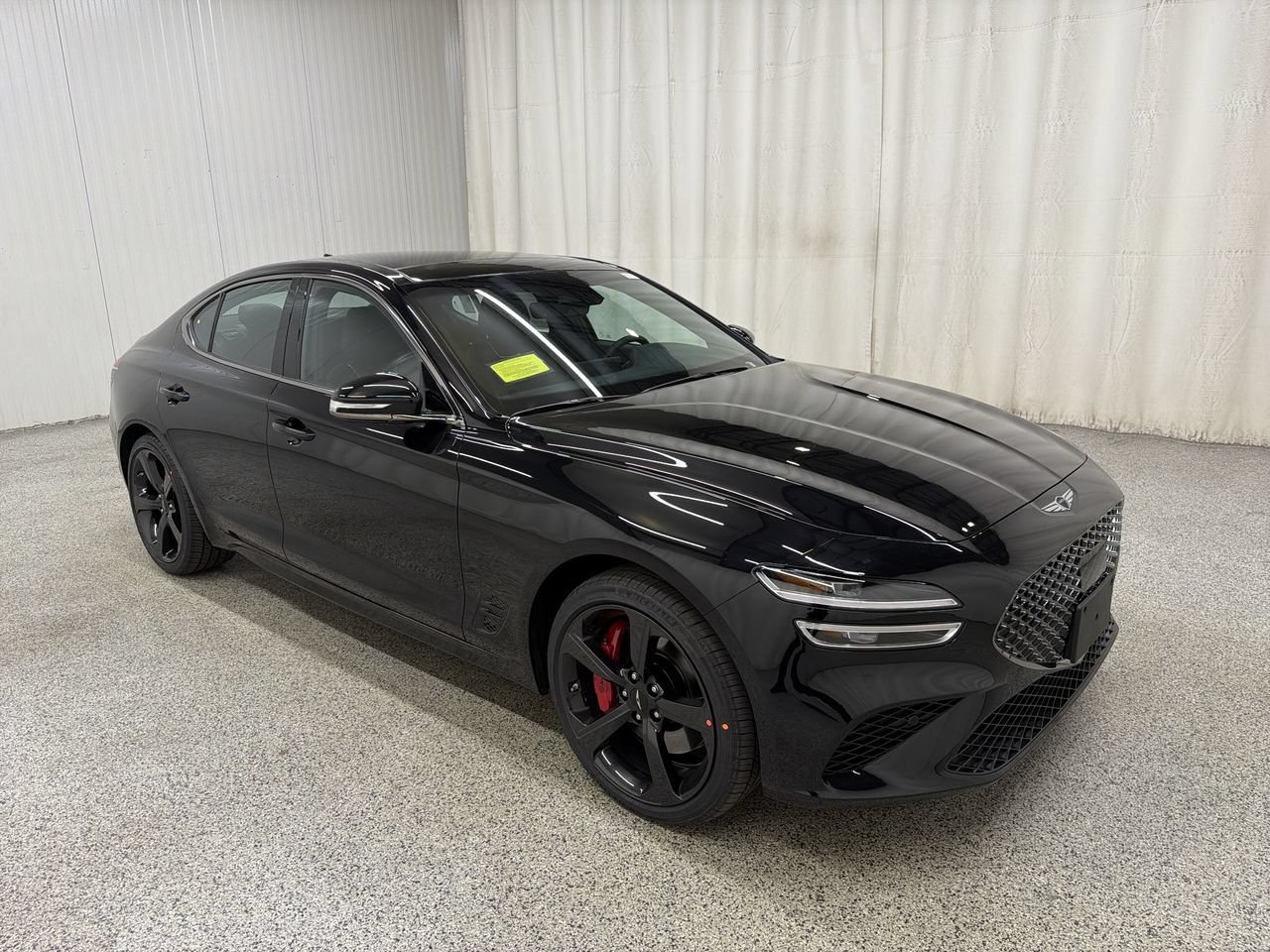 New 2027 Vik Black Genesis Standard image 3
