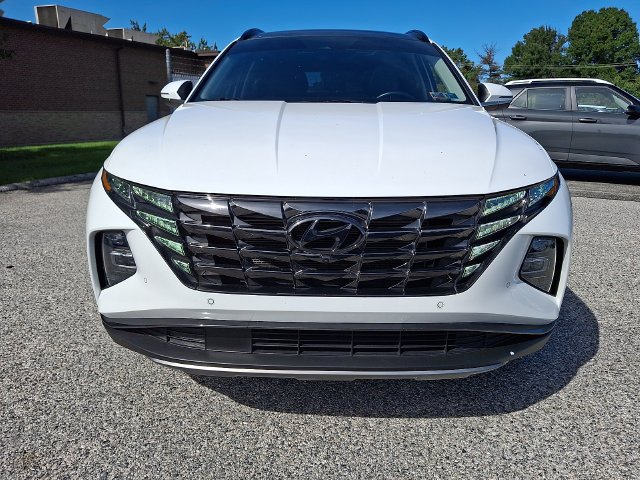 Used 2022 Gray Hyundai Limited image 2