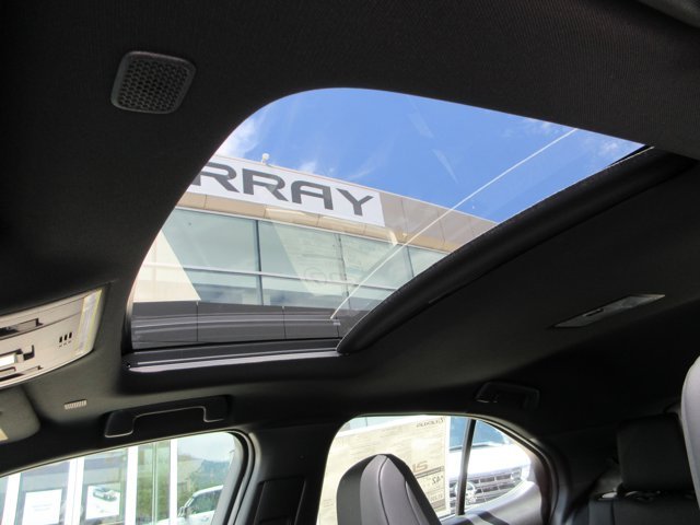 New 2026 Iridium Lexus 300h Premium image 24