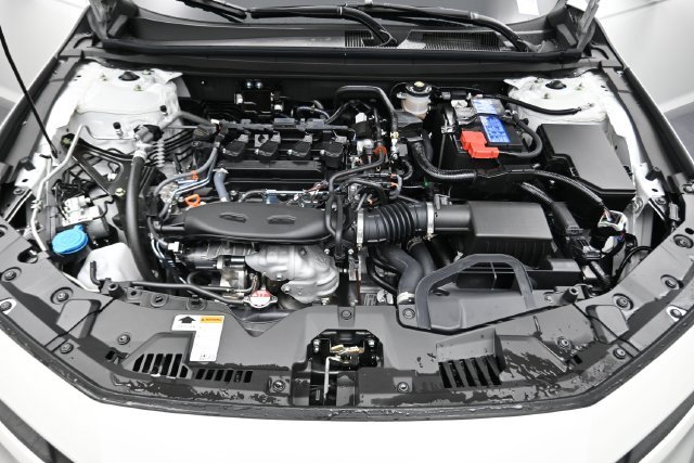 New 2026 Platinum White Pearl Honda LX image 22