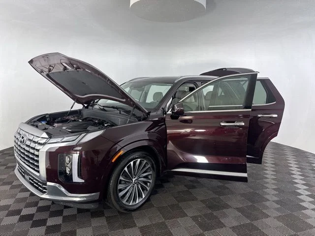 Used 2024 Red Hyundai Calligraphy image 14