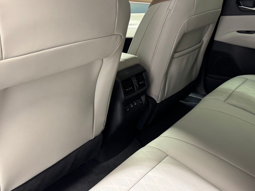 New 2026 Black Nissan Platinum image 21