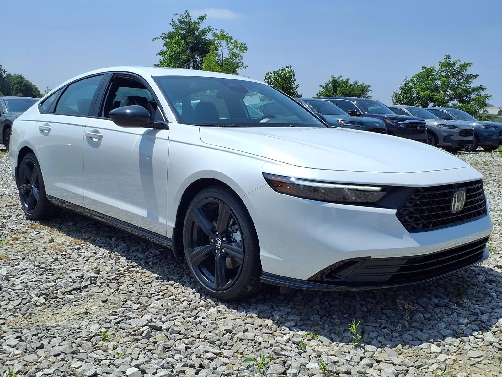 New 2026 Platinum White Pearl Honda Sport-L image 1
