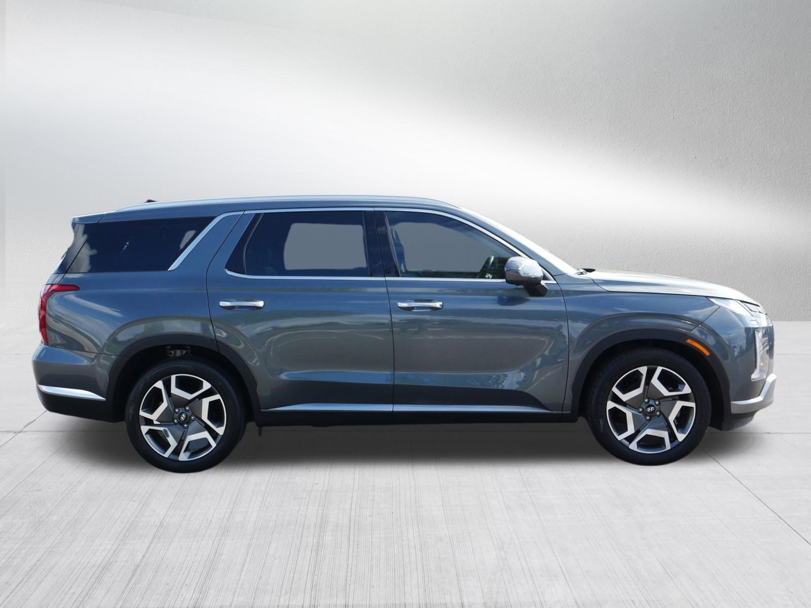 2024 Hyundai Palisade Limited - Photo 8