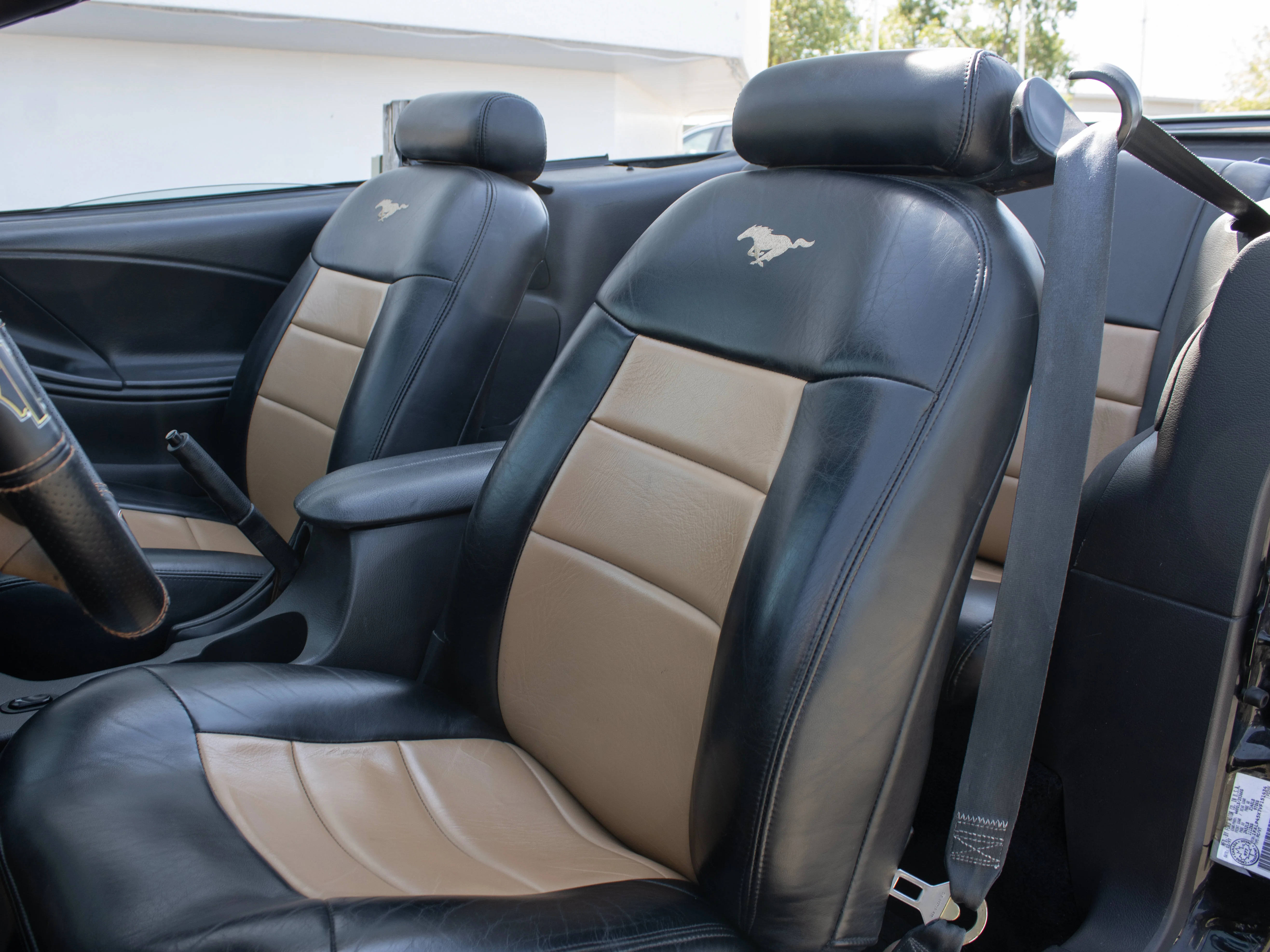 Used 1997 Black Ford GT* Convertible | 4.6L V8 | 5-Speed Manual | SVT Wheels | image 5