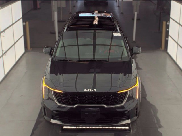 Used 2025 Panthera Metal Kia SX image 2