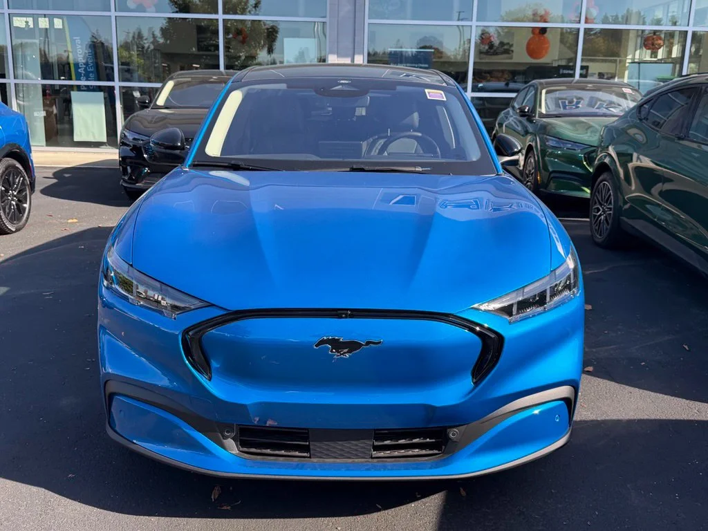 New 2026 Velocity Blue Metallic Ford Premium image 5