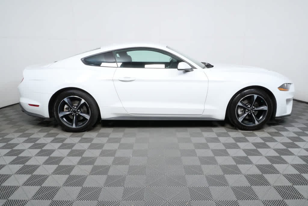 Used 2019 Ford Mustang EcoBoost with VIN 1FA6P8TH7K5199565 for sale in Chamblee, GA