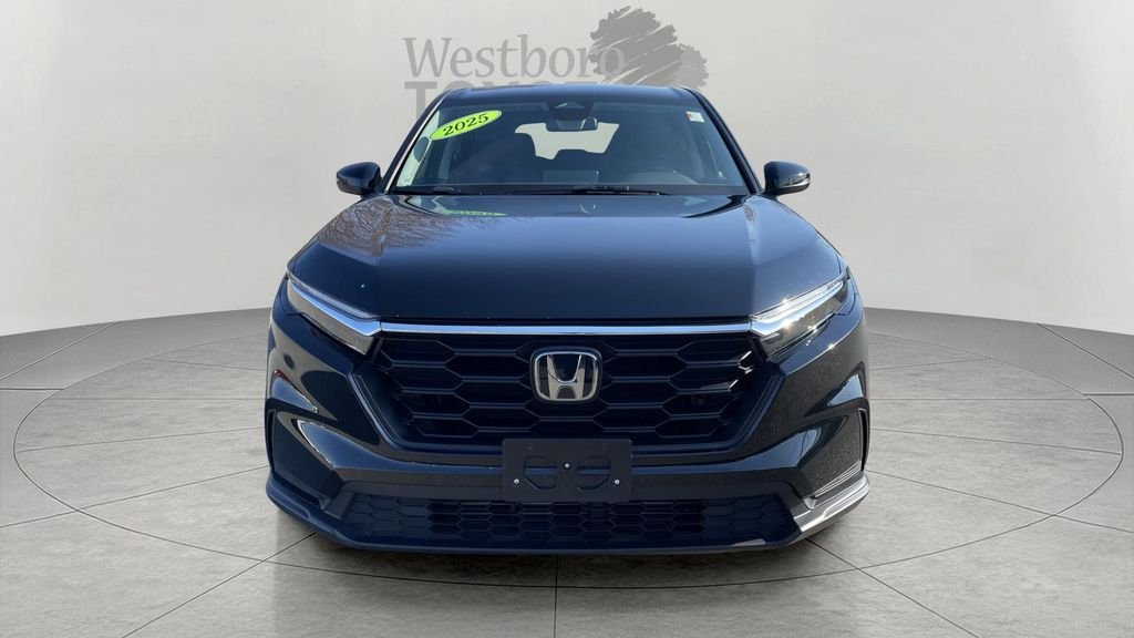 Used 2025  Honda LX image 2