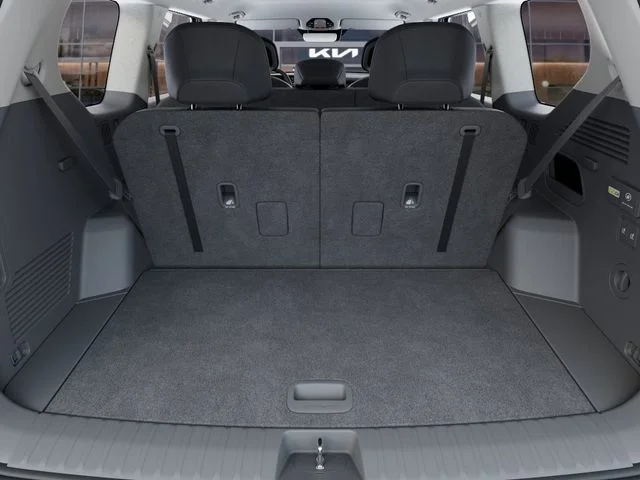 New 2026 Panthera Metal Kia Light RWD image 19