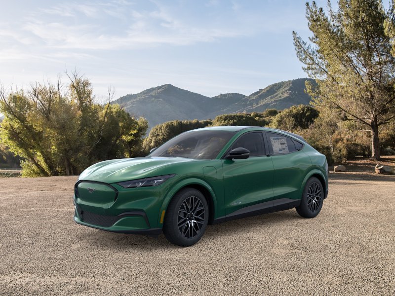 New 2026 Eruption Green Metallic Ford Premium image 23
