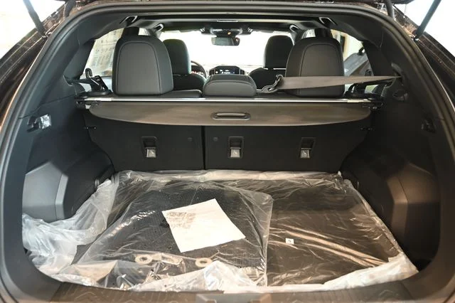 New 2026 Black Subaru Wilderness image 29