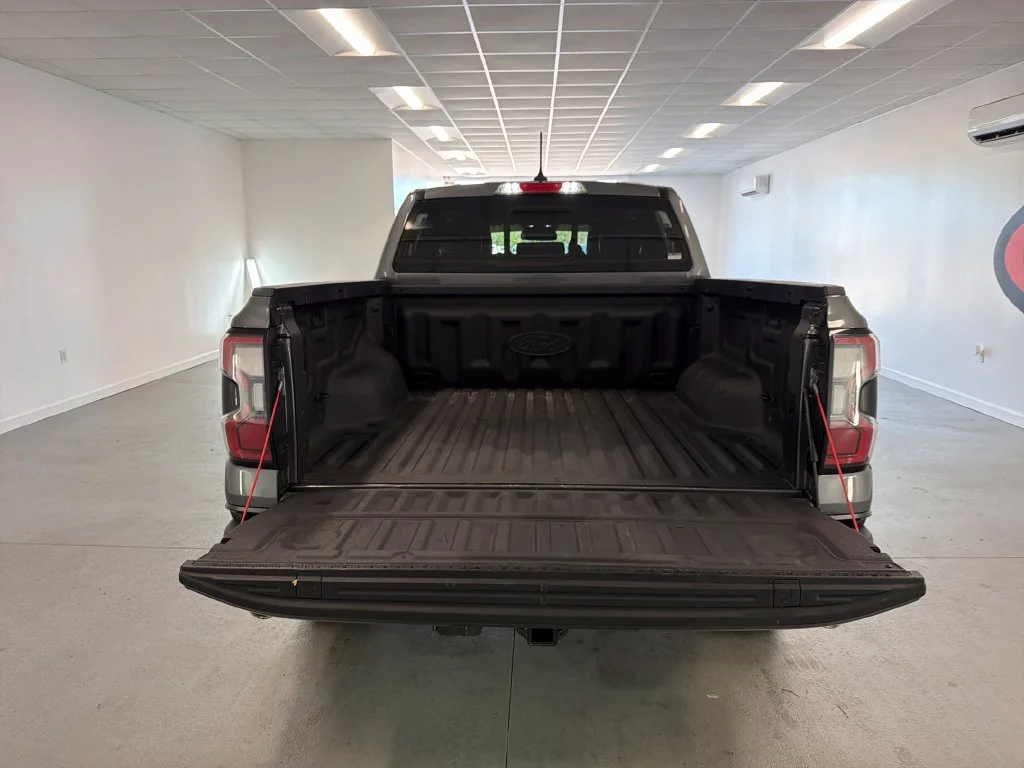 Used 2024 Gray Ford Raptor image 9