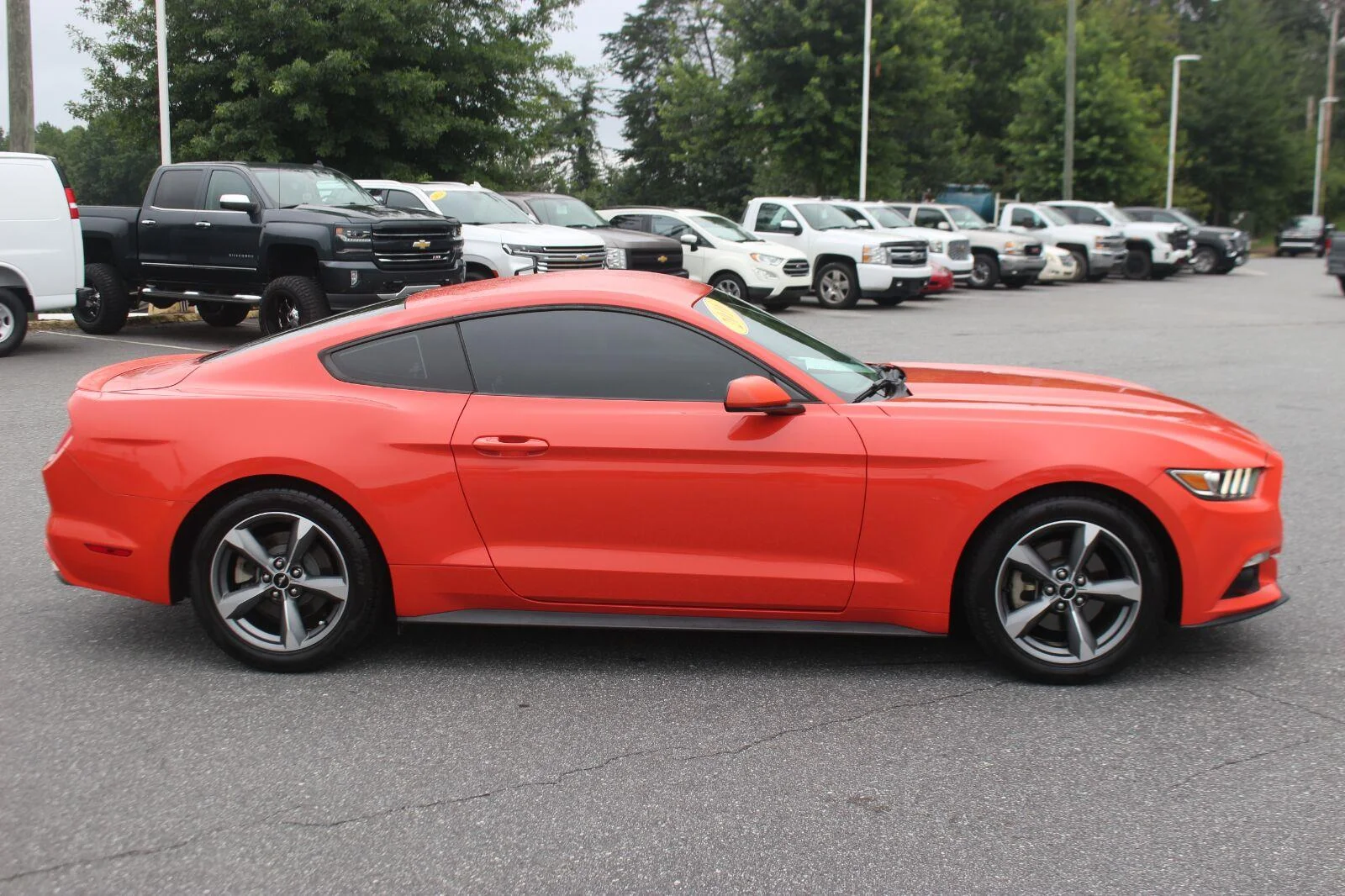 Used 2016  Ford V6 image 8