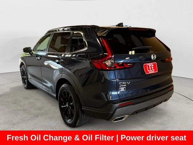 Used 2024 Blue Honda Sport-L image 3
