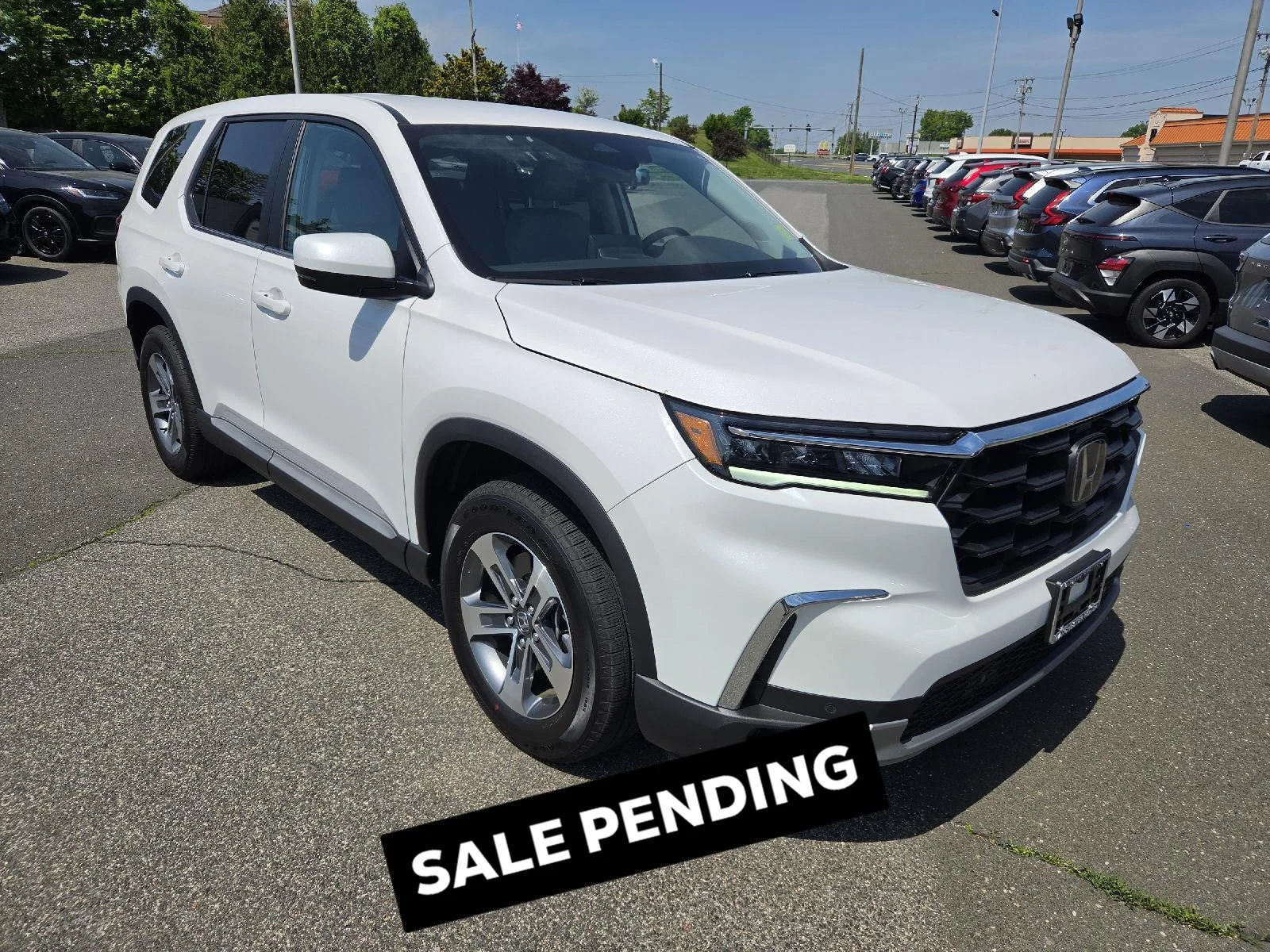 2025 Honda Pilot EX-L AWD's photo