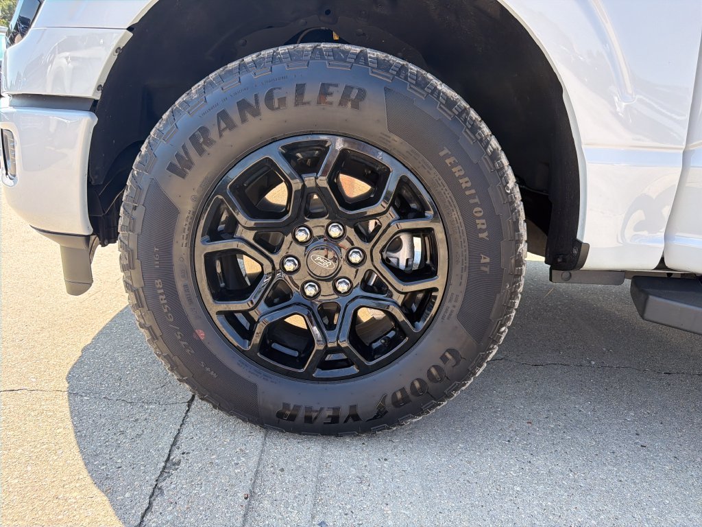 2025 Ford F-150 XLT - Photo 28