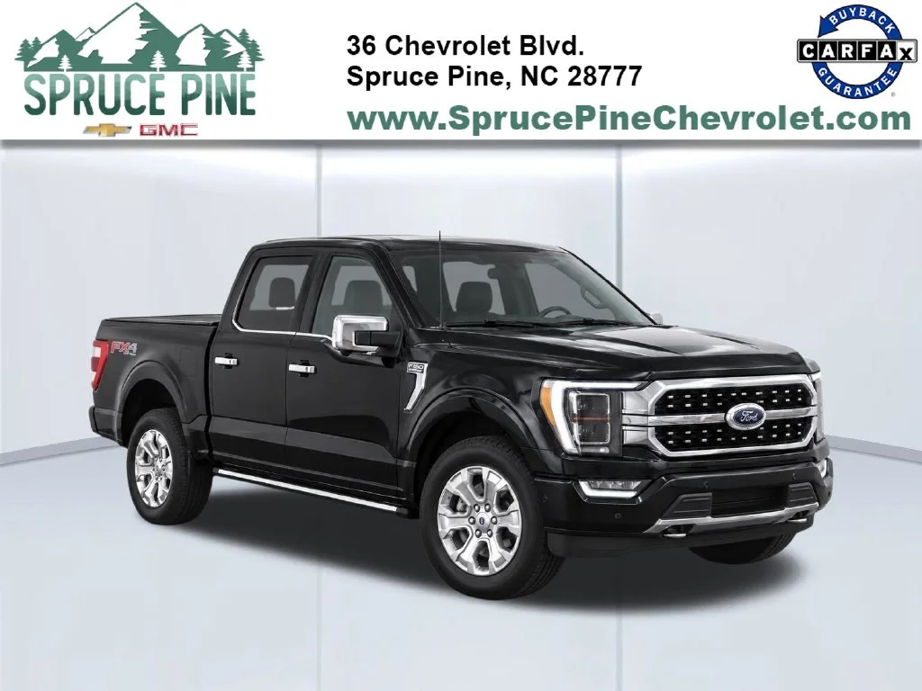 Used 2023 Black Ford Platinum image 1