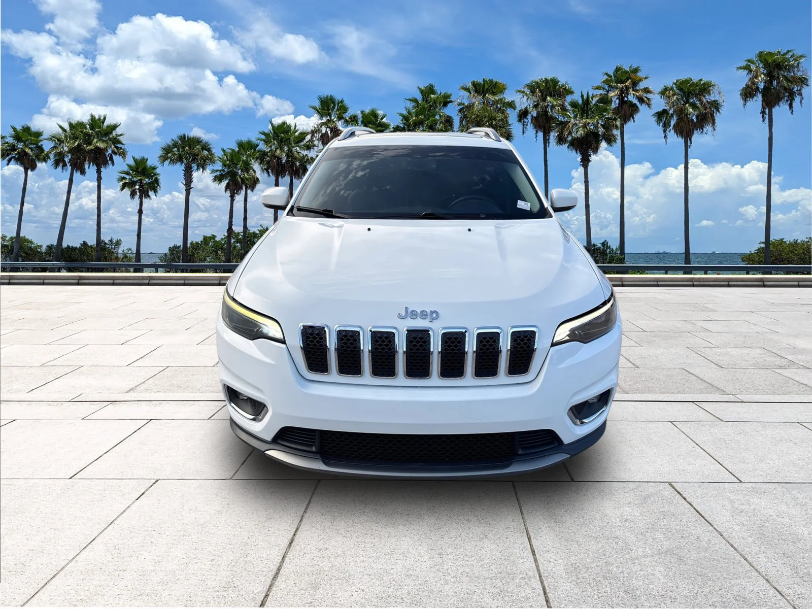 Used 2019 Jeep Cherokee Limited with VIN 1C4PJLDX7KD173398 for sale in Port Richey, FL
