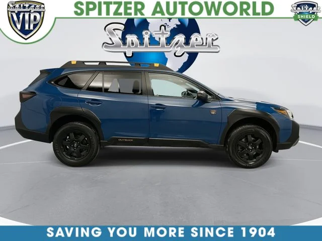 Used 2024 Blue Subaru Wilderness image 10
