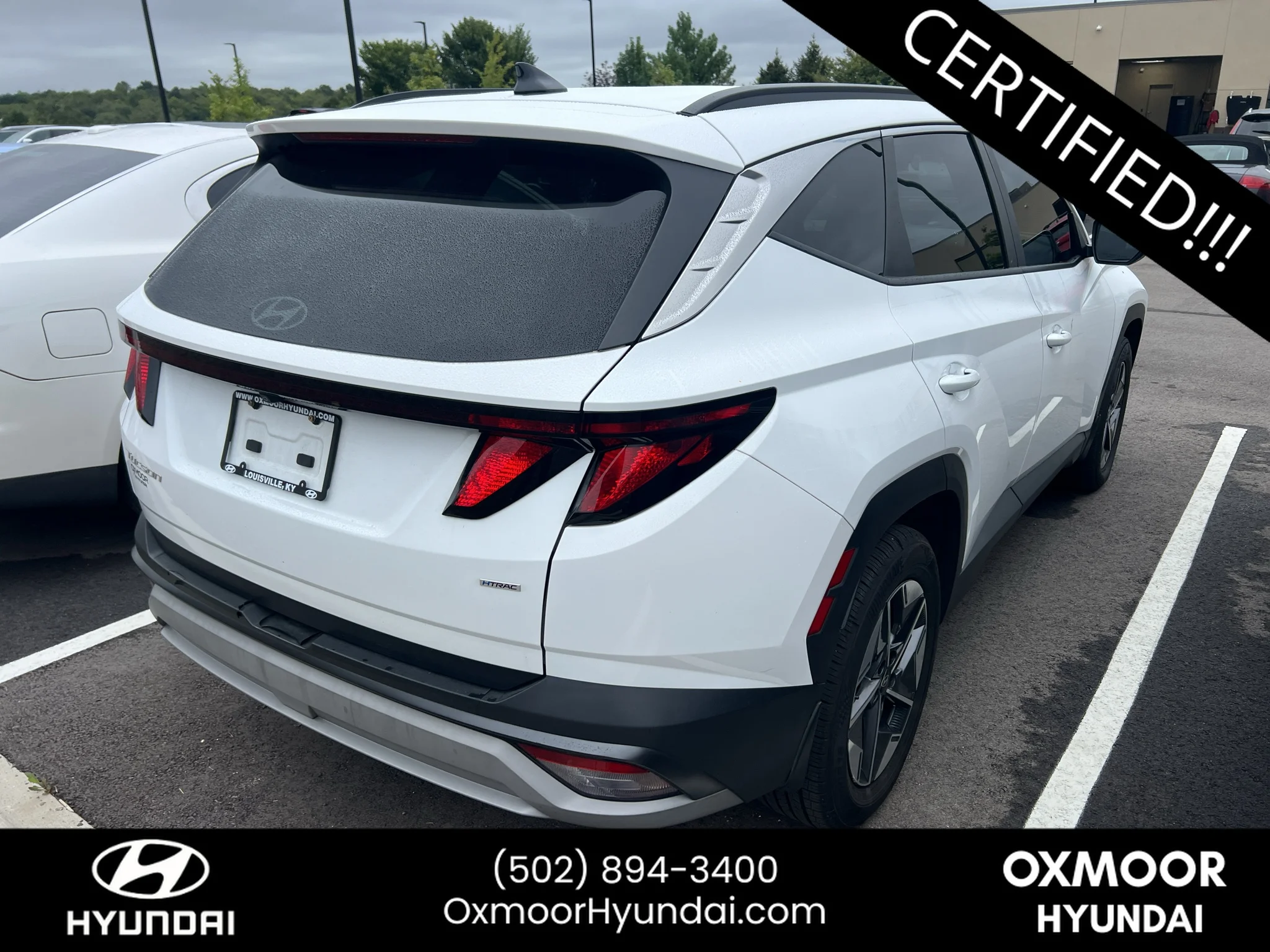 Used 2025 Serenity White Pearl Hyundai SEL image 9