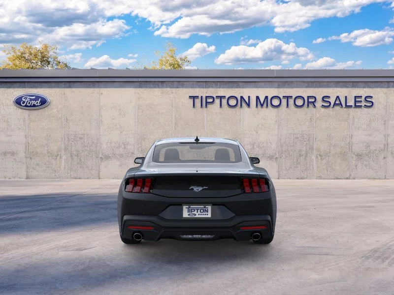 New 2026 Shadow Black Ford EcoBoost® Fastback image 5