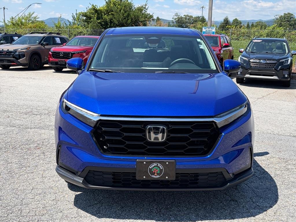 Used 2024 Still Night Pearl Honda 1.5T AWD EX image 6