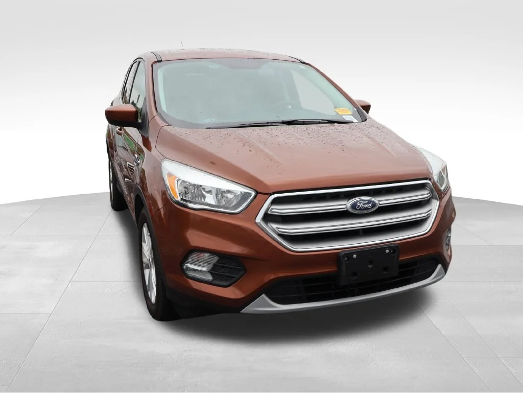 Used 2017 Canyon Ridge Metallic Ford SE image 9