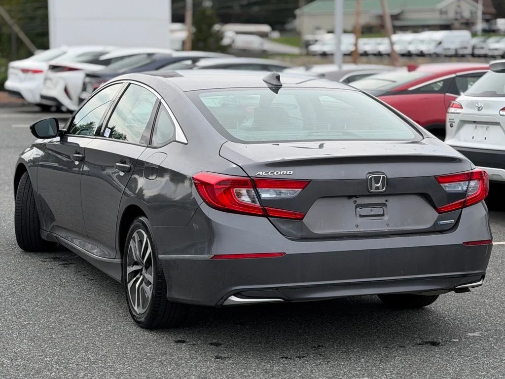 Used 2019  Honda EX-L image 3