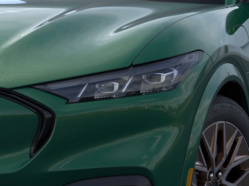 New 2026 Eruption Green Metallic Ford Premium image 18
