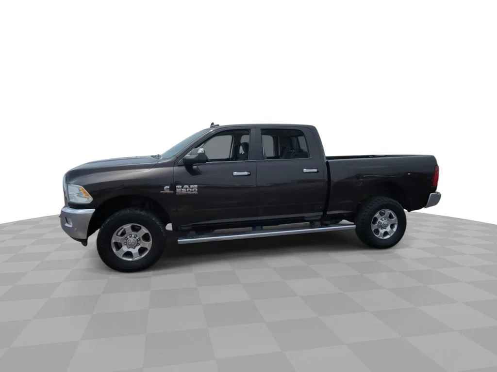 Used 2017 Brown Ram Lone Star image 4