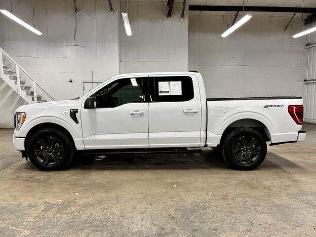 Used 2023 White Ford XLT image 4