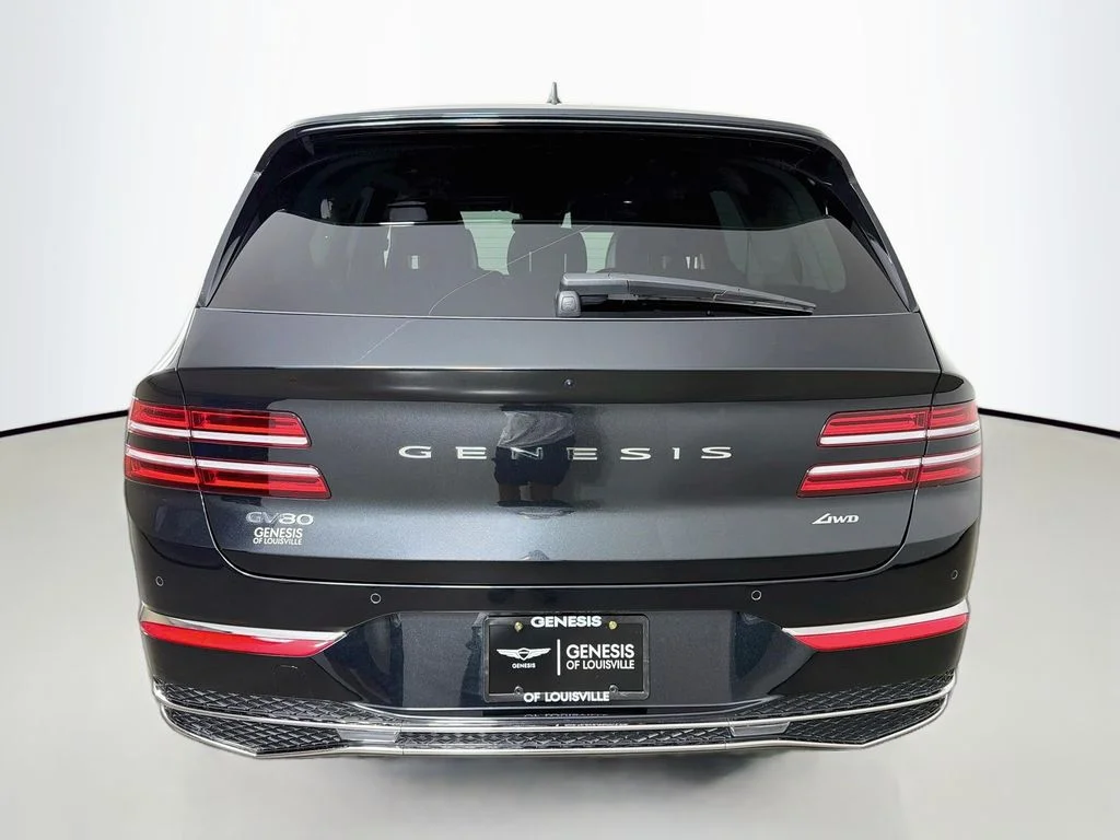 Used 2025 Vik Black Genesis Prestige image 6
