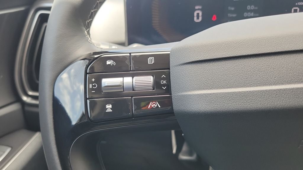 New 2026 Panthera Metal Kia LX image 19