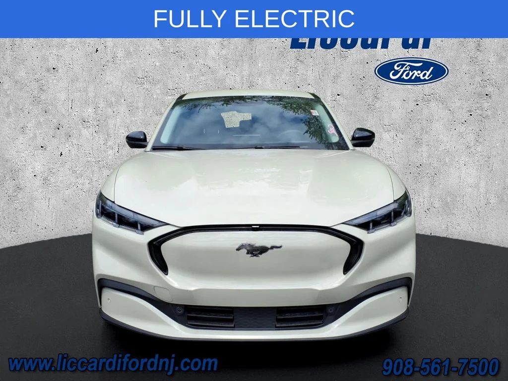 Used 2025 Ford Mustang Mach-E Premium RWD with VIN 3FMTK3R47SMA00622 for sale in Watchung, NJ