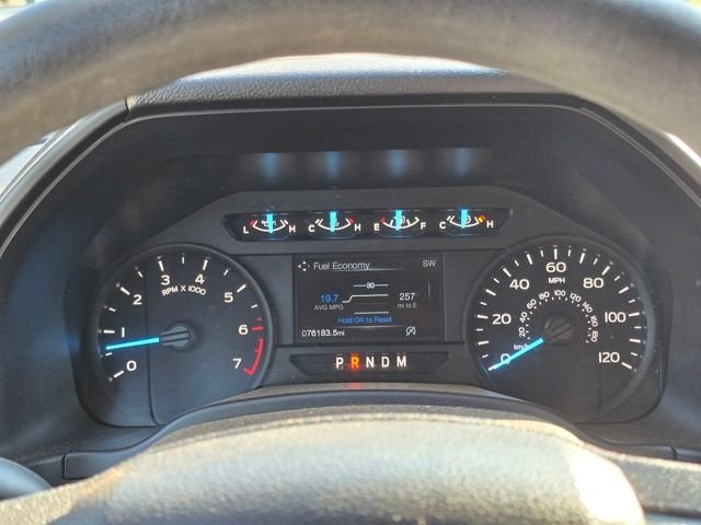 Used 2020 White Ford XL image 10