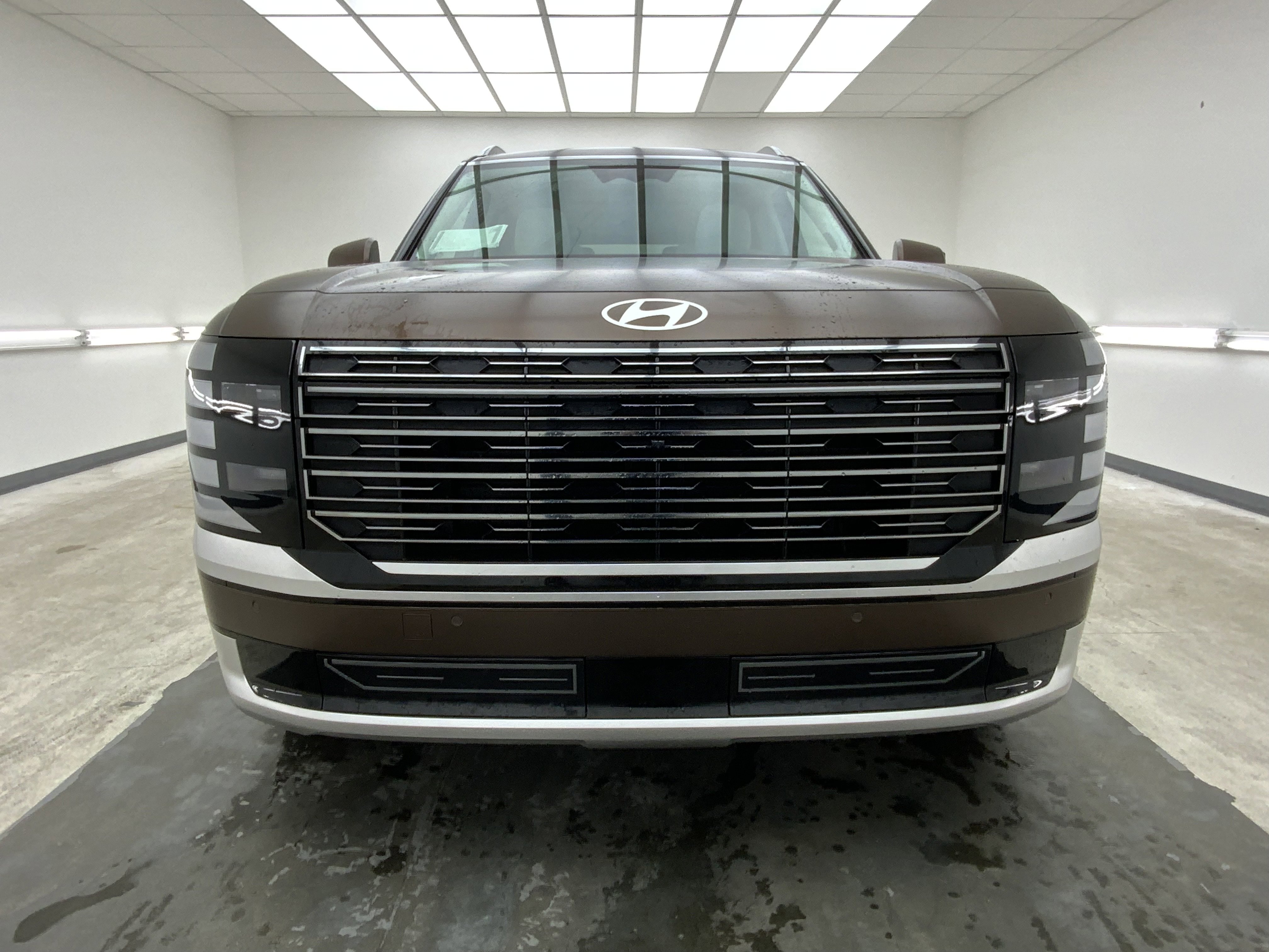 New 2026 Earthy Brass Matte Hyundai Calligraphy image 3