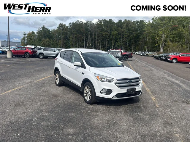 2019 Ford Escape SE