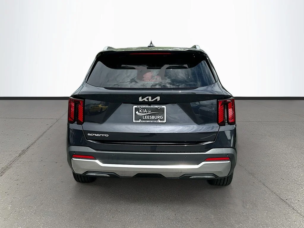 New 2026 Panthera Metal Kia SX image 6