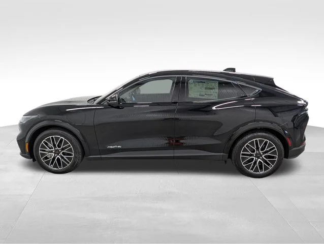 New 2026 Shadow Black Ford Premium image 31