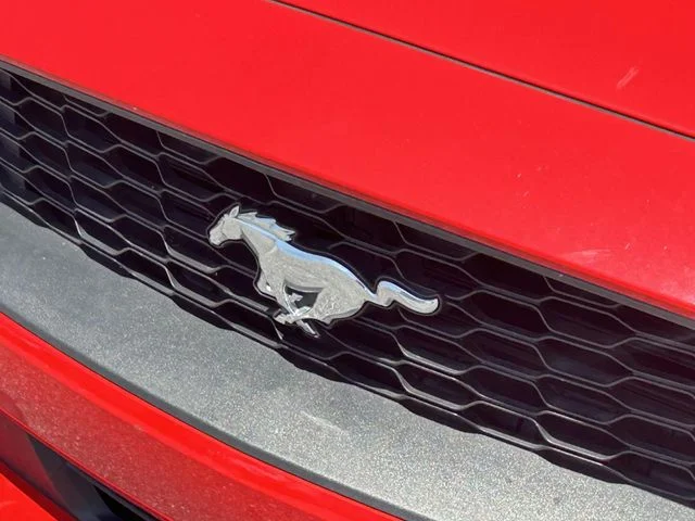 Used 2022 Red Ford EcoBoost Premium image 4