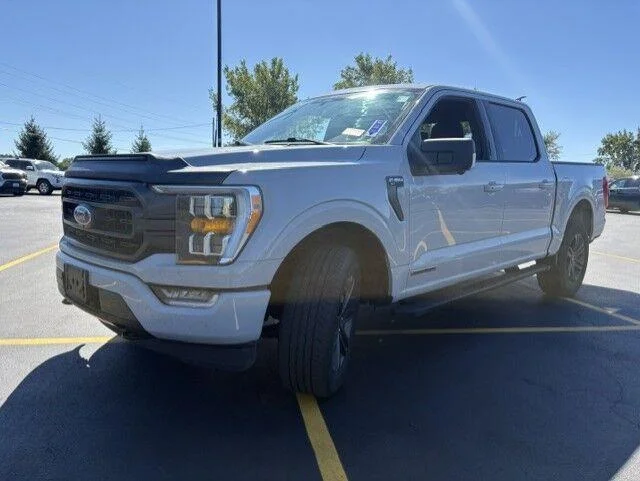 Used 2023 Avalanche Gray Ford XLT image 6