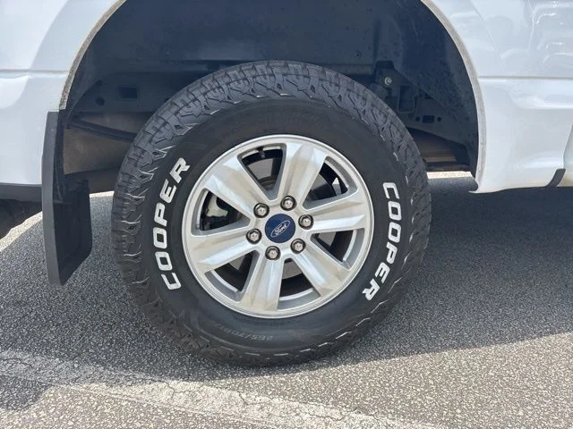 Used 2020 White Ford XLT image 6